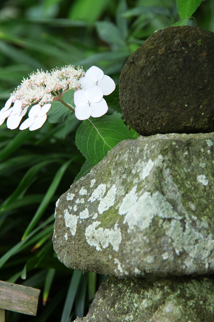石塔の後ろから