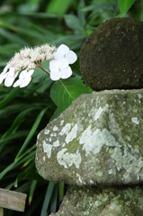 石塔の後ろから