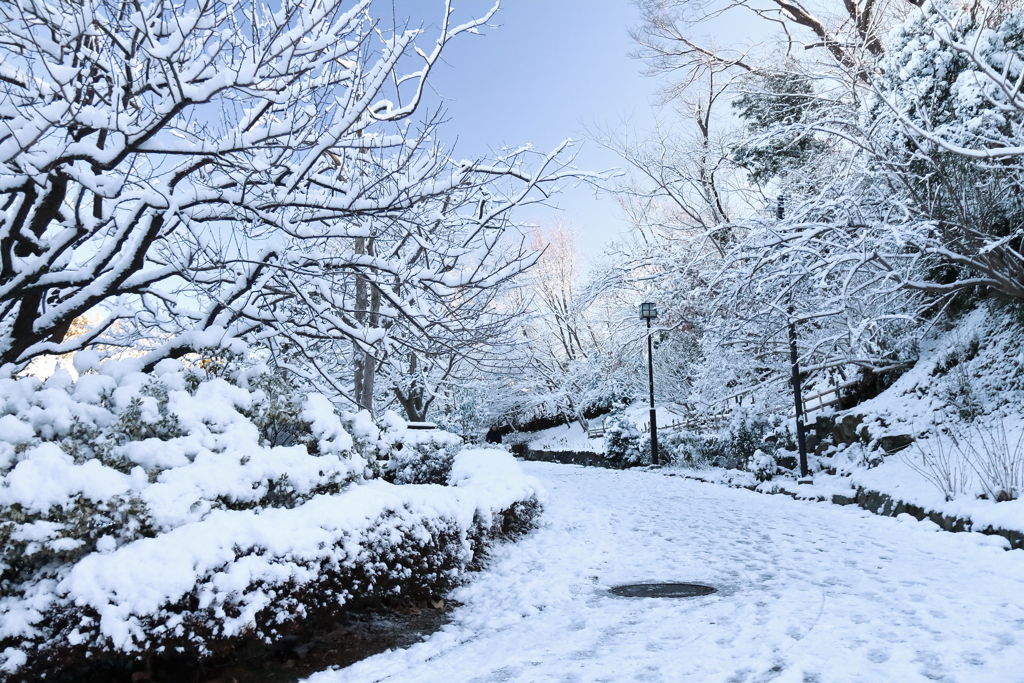 雪のアプローチ