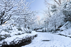 雪のアプローチ