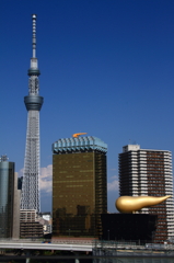 新名所