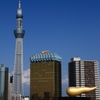 新名所