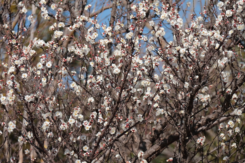 あっという間に１