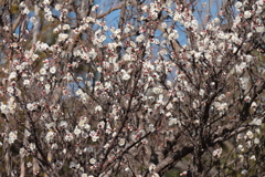 あっという間に１