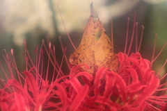 優しく受け止めて