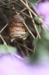 暖かくなる頃に