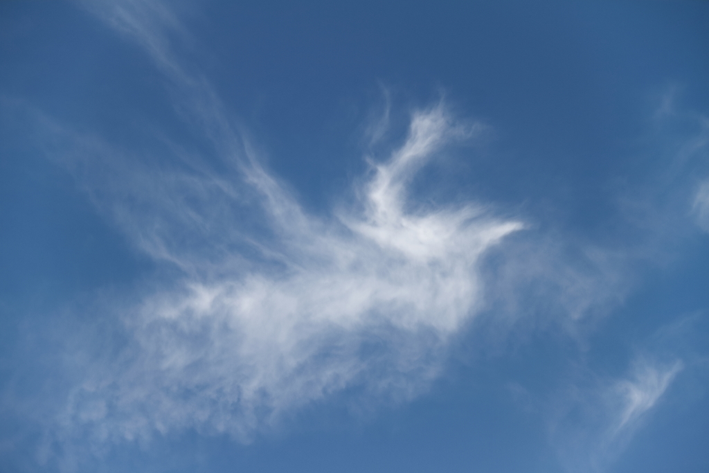 大空を往く鳳凰