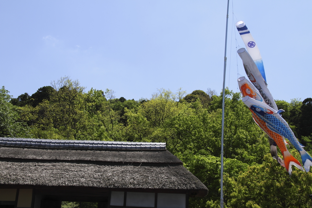 五月晴れに