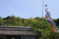 五月晴れに