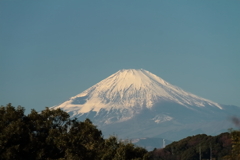 この日の雄姿