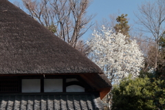 里山の記憶