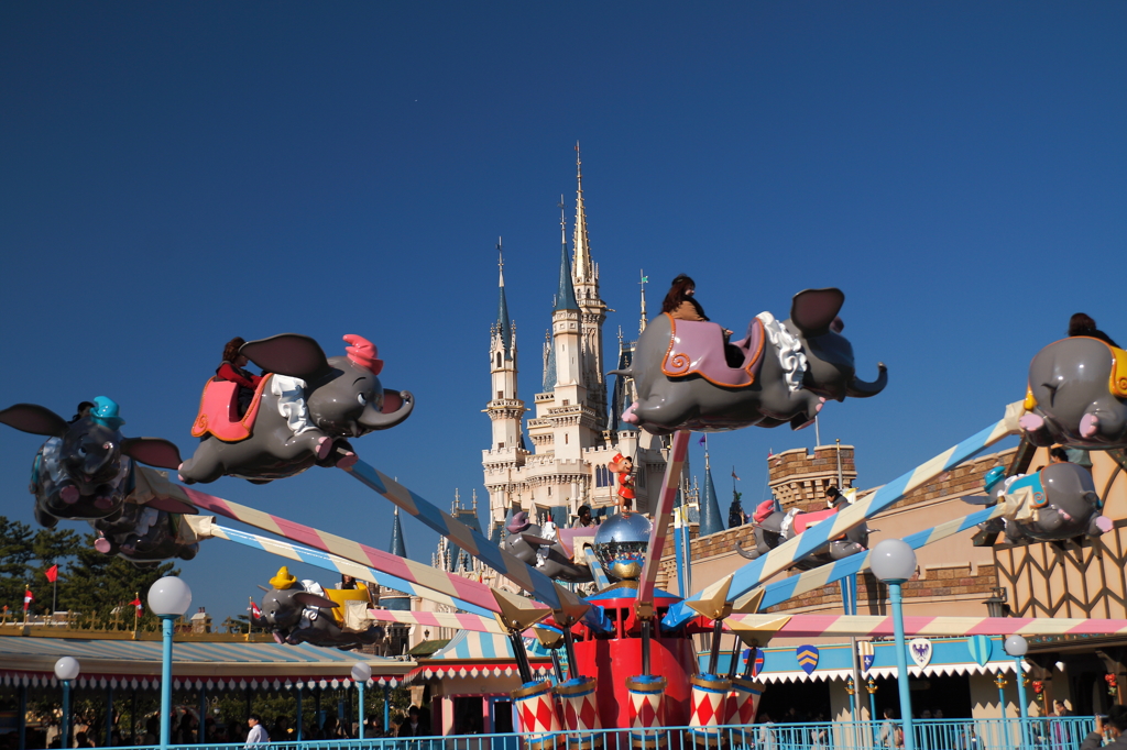 巨大テーマパークで遊ぶ