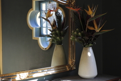 ストレリチアのある窓辺