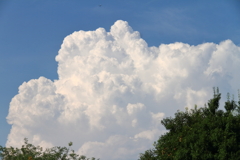 夏雲の顔３