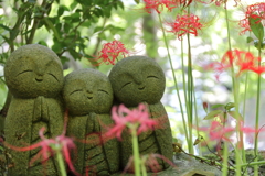 ほほえみと彼岸花