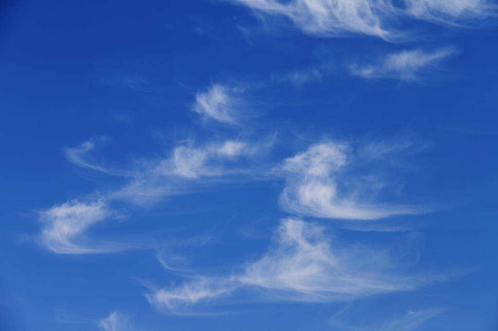 秋風に吹かれて