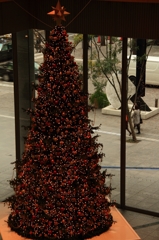 クリスマスウィーク③