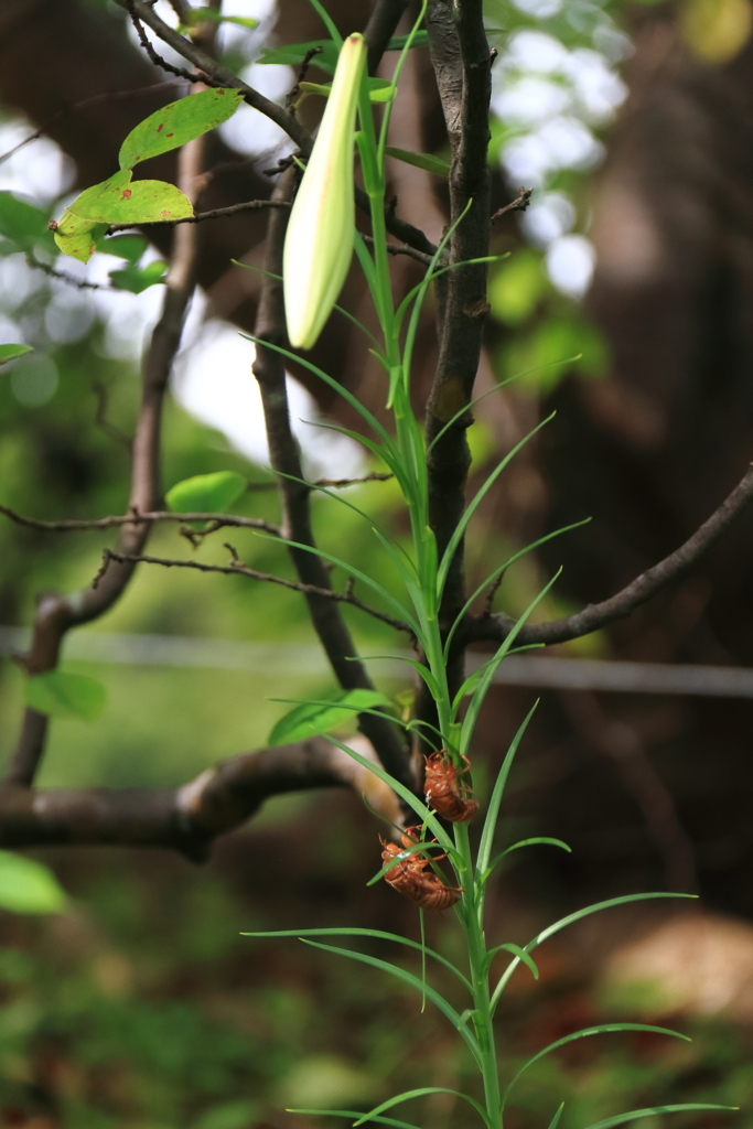 しっかり捉まって