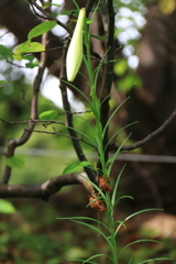 しっかり捉まって