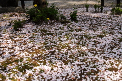 花絨毯