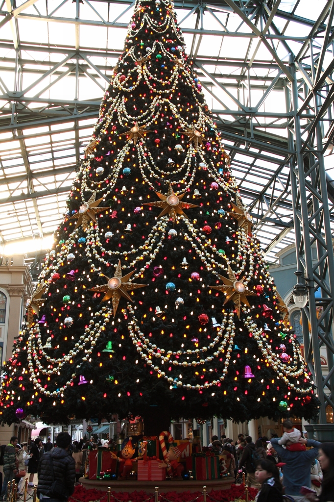 大きなツリーのある広場