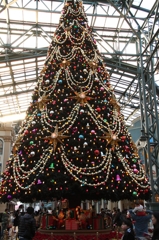 大きなツリーのある広場