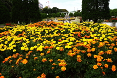 花いっぱいの公園