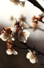 移ろいを感じながら