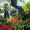 秋を供える