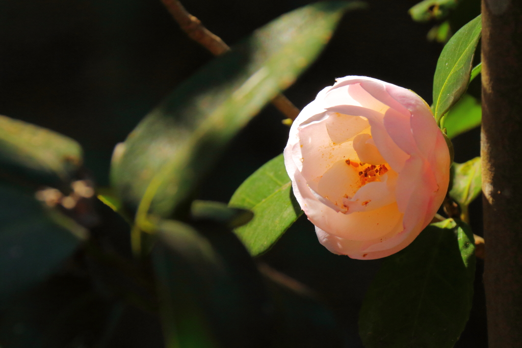 早春の陽を浴びて
