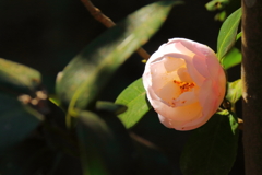 早春の陽を浴びて