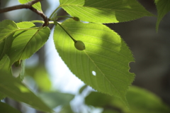 足早に移ろう季節