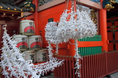 今年の運勢は？