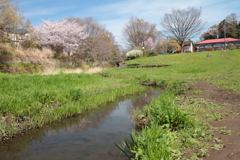 春の風景２