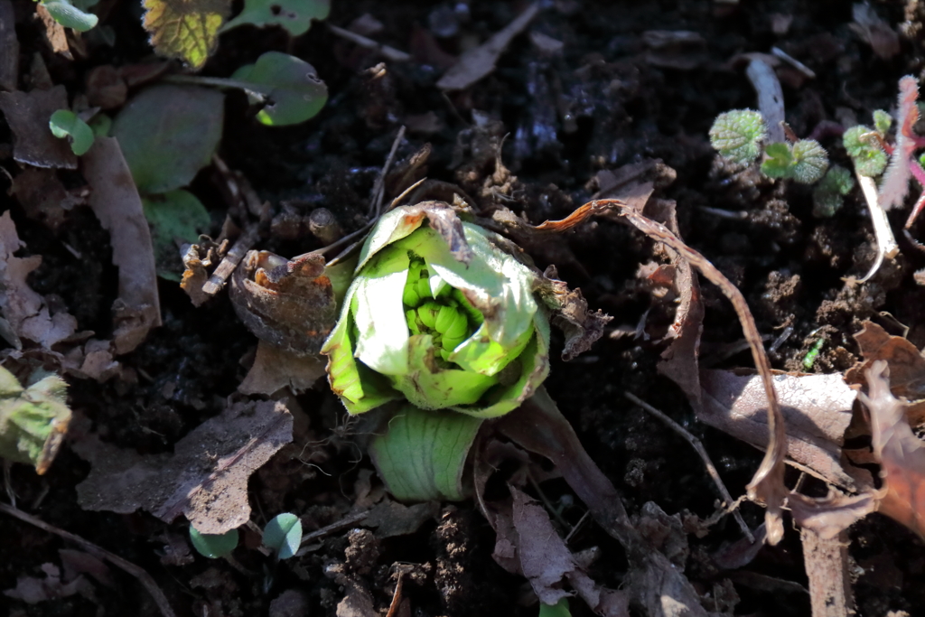 これはもう少し