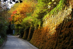 秋色切通し