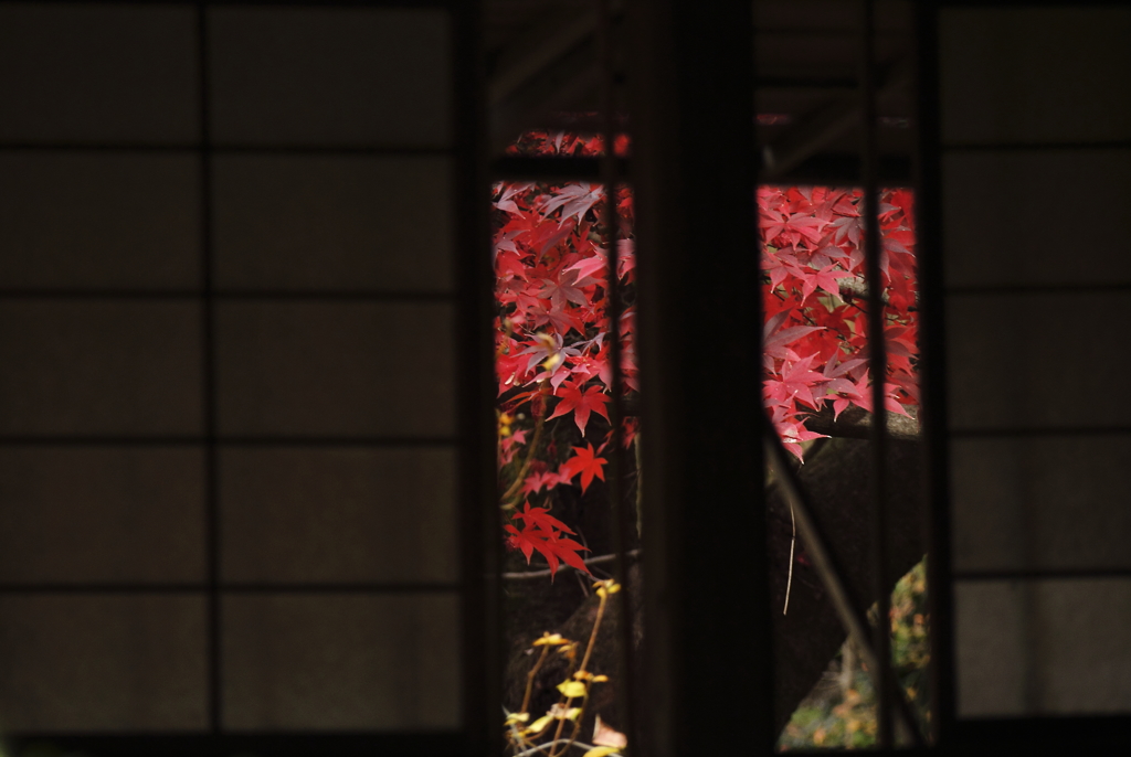 錦秋の横浜三渓園５