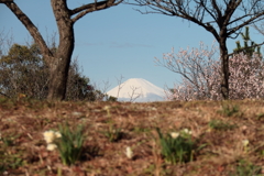 富士遠景１