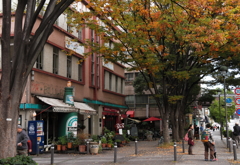 晩秋の街角