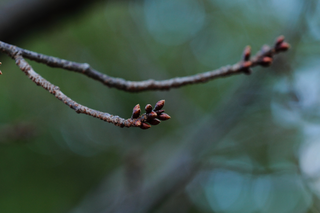 出番はまだまだ