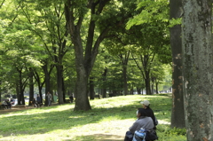 新緑に憩う