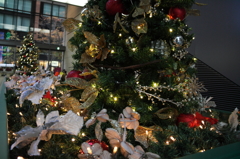 ツリーのあるホール