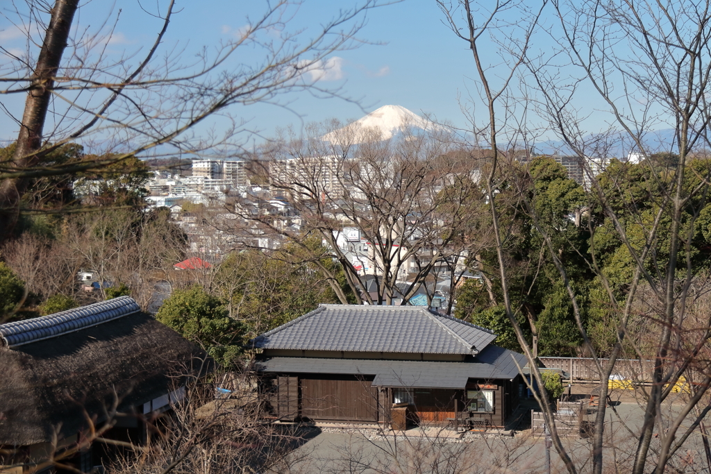 富士山遥かに