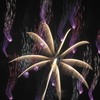 花火習作４