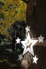 横浜山手西洋館のクリスマス10