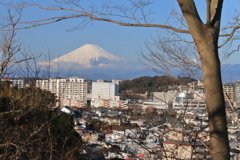 富士山遠景１