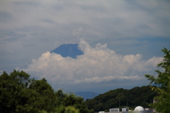 富士山夏姿