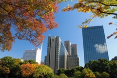 ビル群秋景