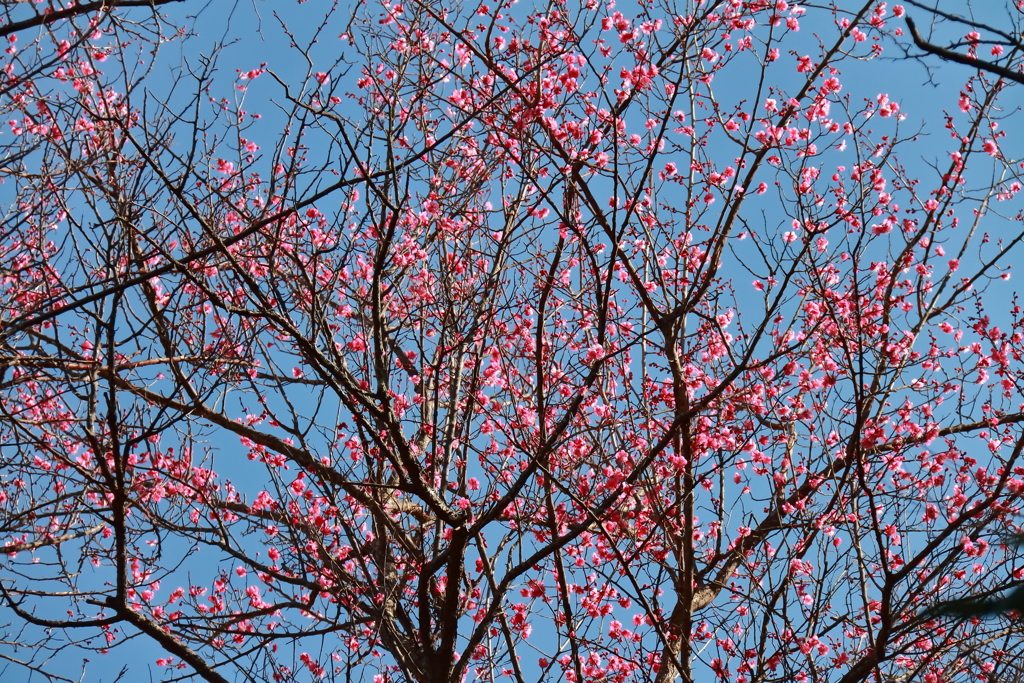 あっという間に２