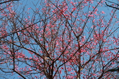 あっという間に２